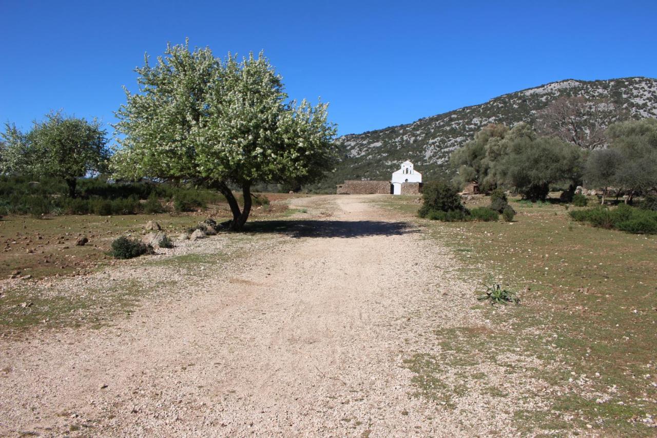 B&B Issicoro Baunei Exterior photo